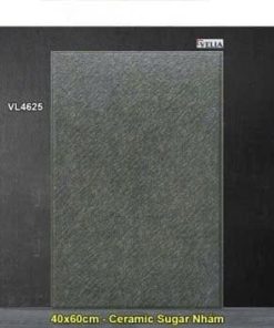 Gạch 40x60 NPG VL4625 Lát Sân