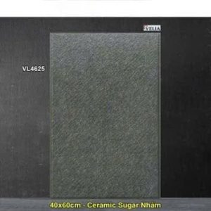 Gạch 40x60 NPG VL4625 Lát Sân
