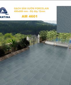 Gạch 40x60 Sân Vườn mã AM4601