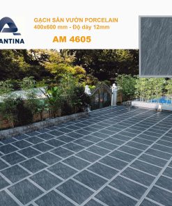 Gạch 40x60 Sân Vườn mã AM4605