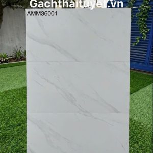 Gạch 40x80 Grand mã AMM36001