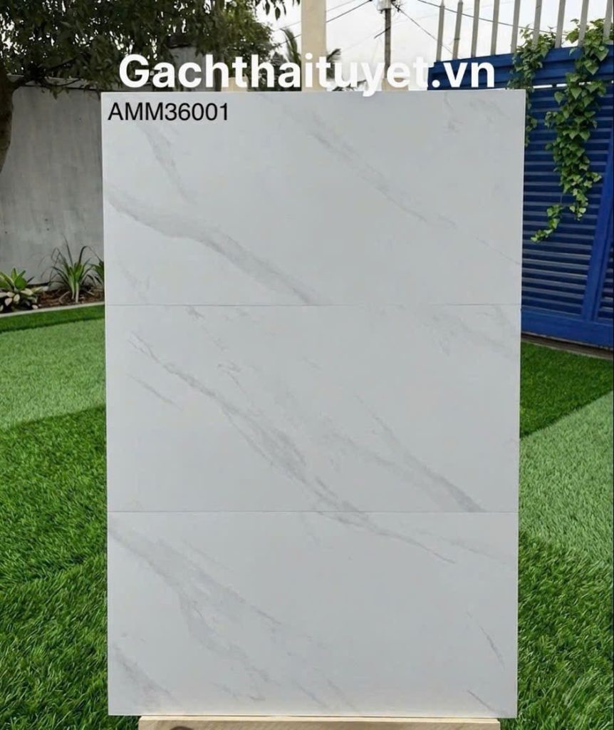 Gạch 40x80 Grand mã AMM36001