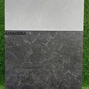 Gạch 40x80 Grand mã AMM48003