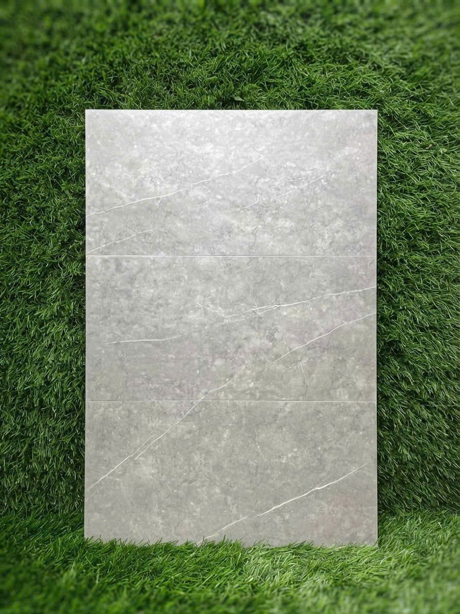 Gạch 40x80 Mocharock Mã 40801