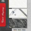 Gạch 40x80 Tasa 7610 Men bóng