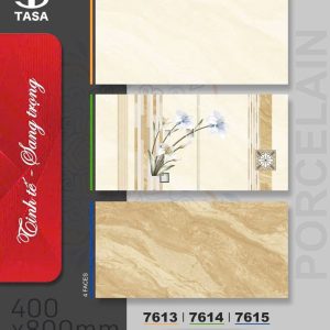 Gạch 40x80 Tasa 7614 Men bóng