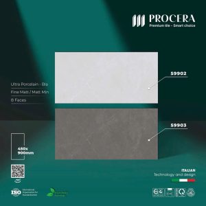 Gạch 45x90 PROCERA mã 59902 Men Matt Mịn