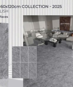 Gạch 60X120 Tasa 1640 men bóng