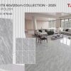 Gạch 60X120 Tasa 1642 men bóng