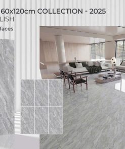 Gạch 60X120 Tasa 1642 men bóng