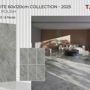 Gạch 60X120 Tasa 1643 men bóng
