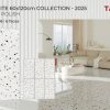 Gạch 60X120 Tasa 1648 men bóng