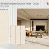 Gạch 60X120 Tasa 1649 men bóng