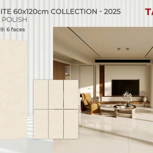 Gạch 60X120 Tasa 1649 men bóng
