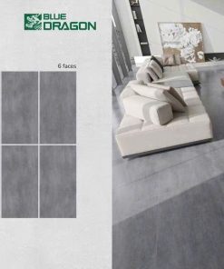 Gạch 60X120 Tasa 1720 menmatt