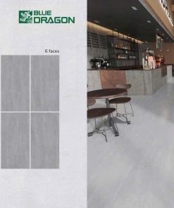 Gạch 60X120 Tasa 1721 menmatt