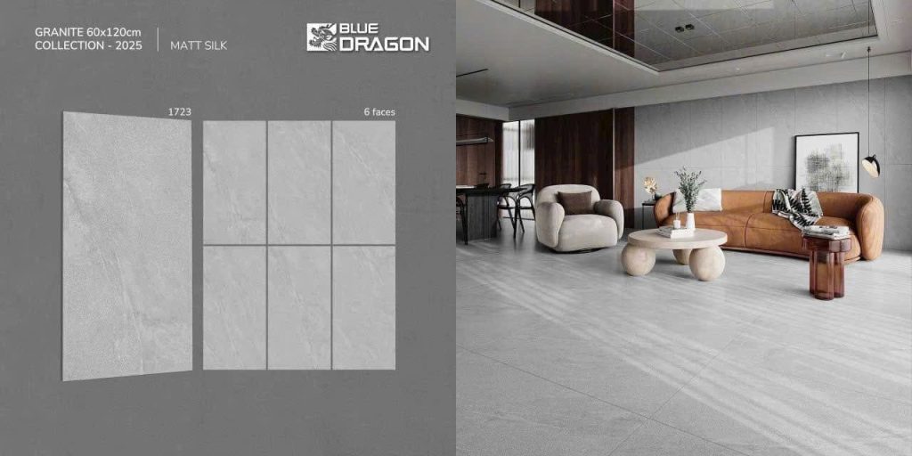 Gạch 60X120 Tasa 1723 menmatt