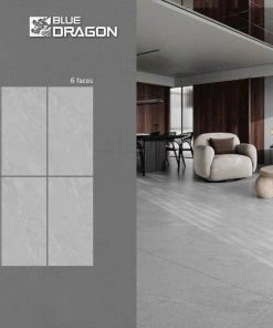 Gạch 60X120 Tasa 1723 menmatt