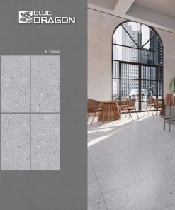 Gạch 60X120 Tasa 1725 menmatt