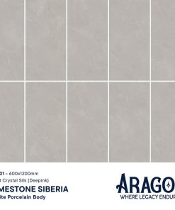 Gạch 60x120 AROGON Mã A1601 Men Matt CRYSTAL SILK