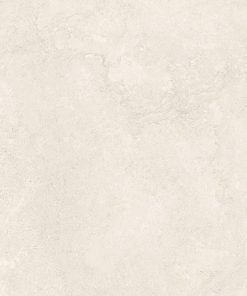 Gạch 60x120 AROGON Mã A1640 Men Matt SHAPEINK