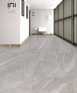 Gạch 60x120 ASI mã 6465 Men Bóng