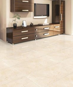Gạch 60x120 ASI mã 6469 Men Bóng