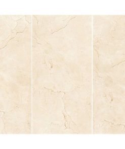 Gạch 60x120 ASI mã 6469 Men Bóng