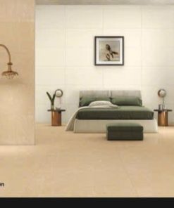 Gạch 60x120 ASI mã RS123 Ivory+Brown