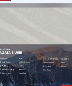 Gạch 60x120 Ấn Độ Novocera mã AGATA SILVER Men Matt