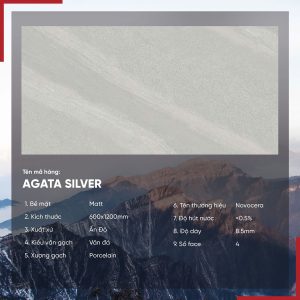 Gạch 60x120 Ấn Độ Novocera mã AGATA SILVER Men Matt