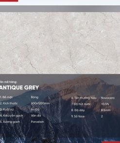 Gạch 60x120 Ấn Độ Novocera mã ANTIQUE GREY Men Bóng