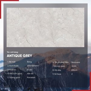 Gạch 60x120 Ấn Độ Novocera mã ANTIQUE GREY Men Bóng