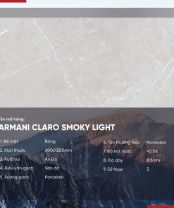 Gạch 60x120 Ấn Độ Novocera mã ARMANI CLARO SMOKY LIGHT Men Bóng