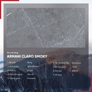 Gạch 60x120 Ấn Độ Novocera mã ARMANI CLARO SMOKY Men Bóng
