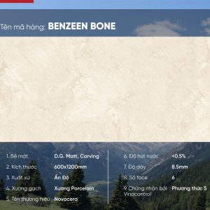 Gạch 60x120 Ấn Độ Novocera mã BENZEEN BONE Men Matt Caving