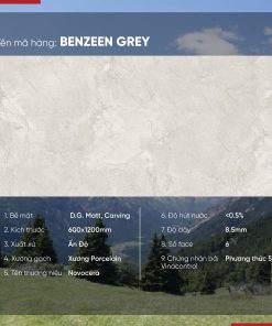 Gạch 60x120 Ấn Độ Novocera mã BENZEEN GREY Men Matt Caving