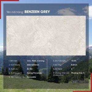 Gạch 60x120 Ấn Độ Novocera mã BENZEEN GREY Men Matt Caving
