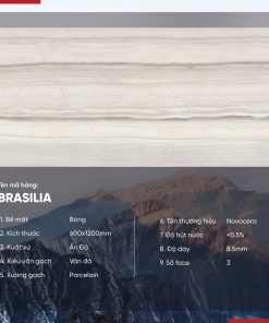 Gạch 60x120 Ấn Độ Novocera mã BRASILIA Men Bóng