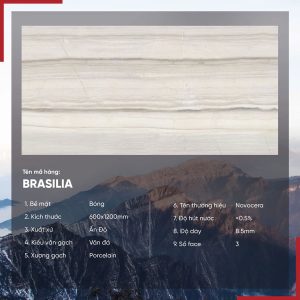 Gạch 60x120 Ấn Độ Novocera mã BRASILIA Men Bóng
