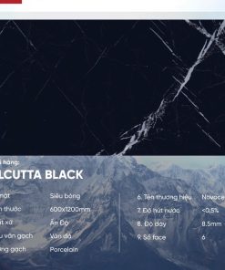 Gạch 60x120 Ấn Độ Novocera mã CALCUTTA BLACK Men Siêu Bóng