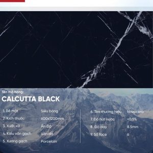Gạch 60x120 Ấn Độ Novocera mã CALCUTTA BLACK Men Siêu Bóng