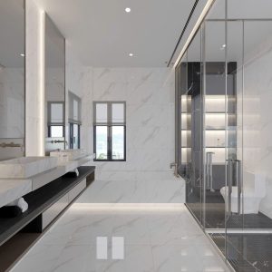 Gạch 60x120 Ấn Độ Novocera mã CASA STATUARIO Men Bóng