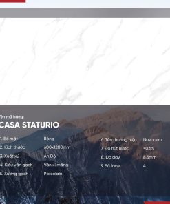 Gạch 60x120 Ấn Độ Novocera mã CASA STATUARIO Men Bóng
