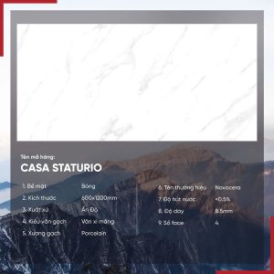 Gạch 60x120 Ấn Độ Novocera mã CASA STATUARIO Men Bóng