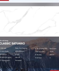 Gạch 60x120 Ấn Độ Novocera mã CLASSIC SATUARIO Men Matt Pro Caving