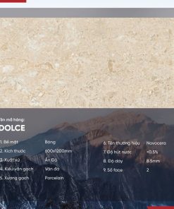 Gạch 60x120 Ấn Độ Novocera mã DOLCE Men Bóng