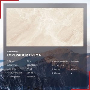 Gạch 60x120 Ấn Độ Novocera mã EMPERADOR CREMA Men Bóng