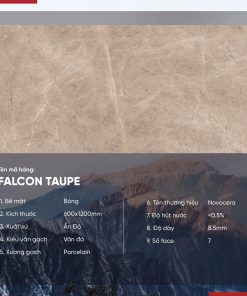 Gạch 60x120 Ấn Độ Novocera mã FALCON TAUPE Men Bóng
