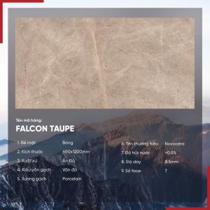 Gạch 60x120 Ấn Độ Novocera mã FALCON TAUPE Men Bóng
